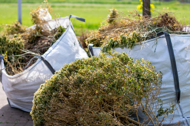 Debris Removal in Bartow, FL